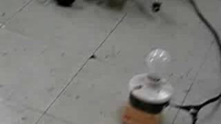 Light seeking robot