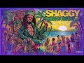 🔴 Legendary Bob Marley Covers Peter Tosh, Dennis Brown, Gregory Isac, Shaggy, Jimmy Cliff, Sean Paul