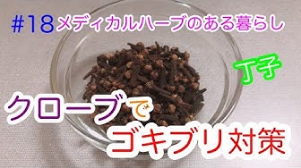 クローブ Youtube クローブ Youtube