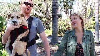 Are You A DILDO With Kurt Braunohler