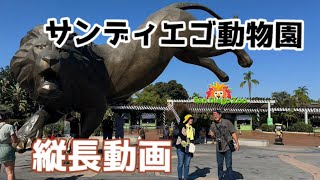 Healing day at the San Diego Zoo 🐼🐨🦍 #Shorts - YouTube