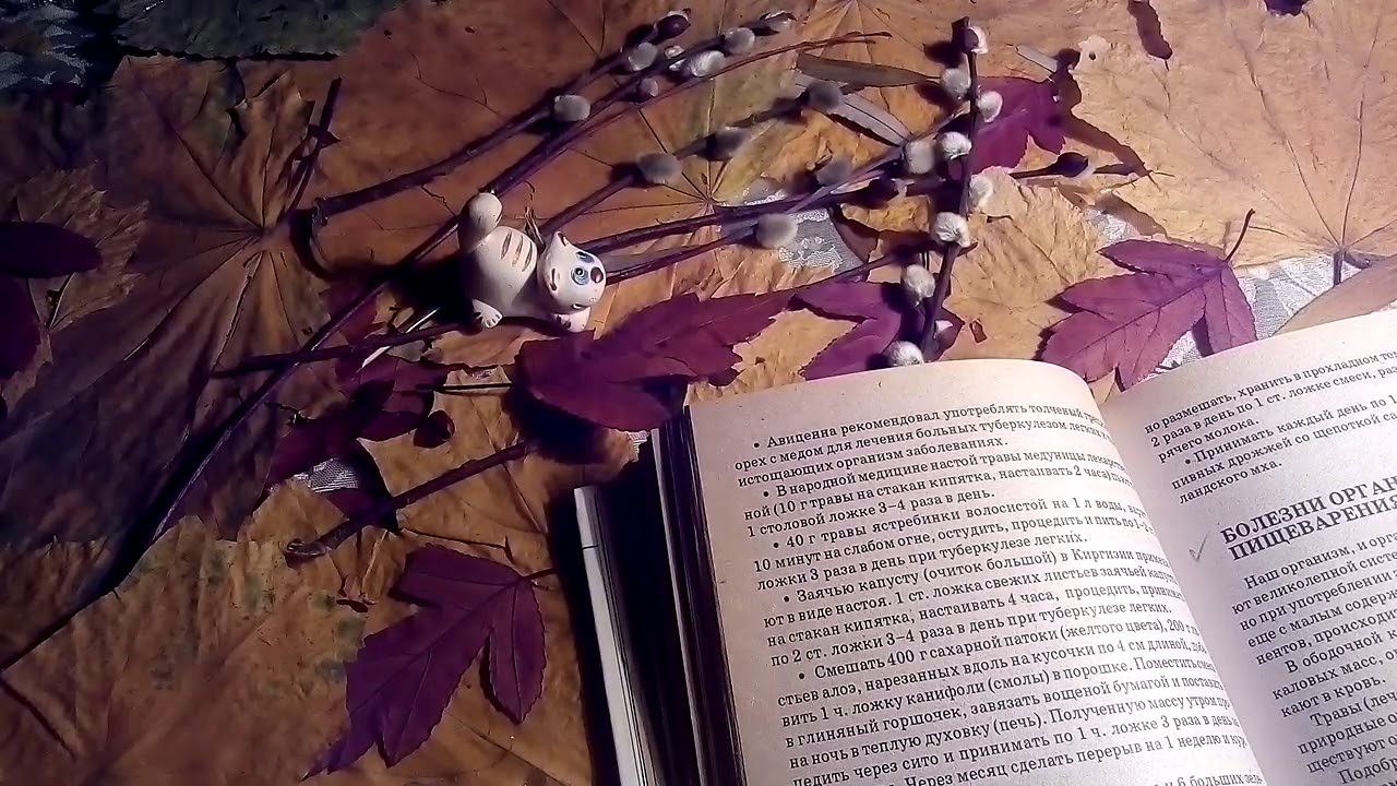 Туберкулез легких - лечение. - YouTube