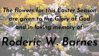Holy Saturday at the Easter Vigil, Holy Night of Easter - April 4, 2026 - Mass LIVE at St. Ann DC