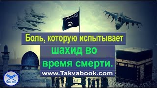 Боль, которую испытывает шахид во время смерти. Абу Убейда