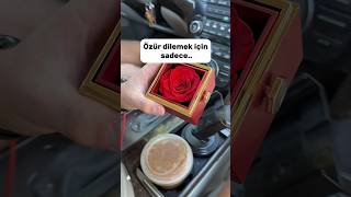 Özür Dilemek İçin Sadece Gül Aldı Sanmıştım