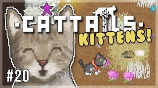 Happy Birthday! | Cattails Let's Play  Episode 20