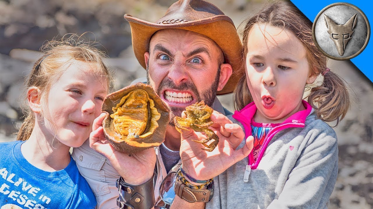 Niezwykłe stworzenia morskie 😲 Przygoda Coyote i jego fanów | Brave Wilderness Polski