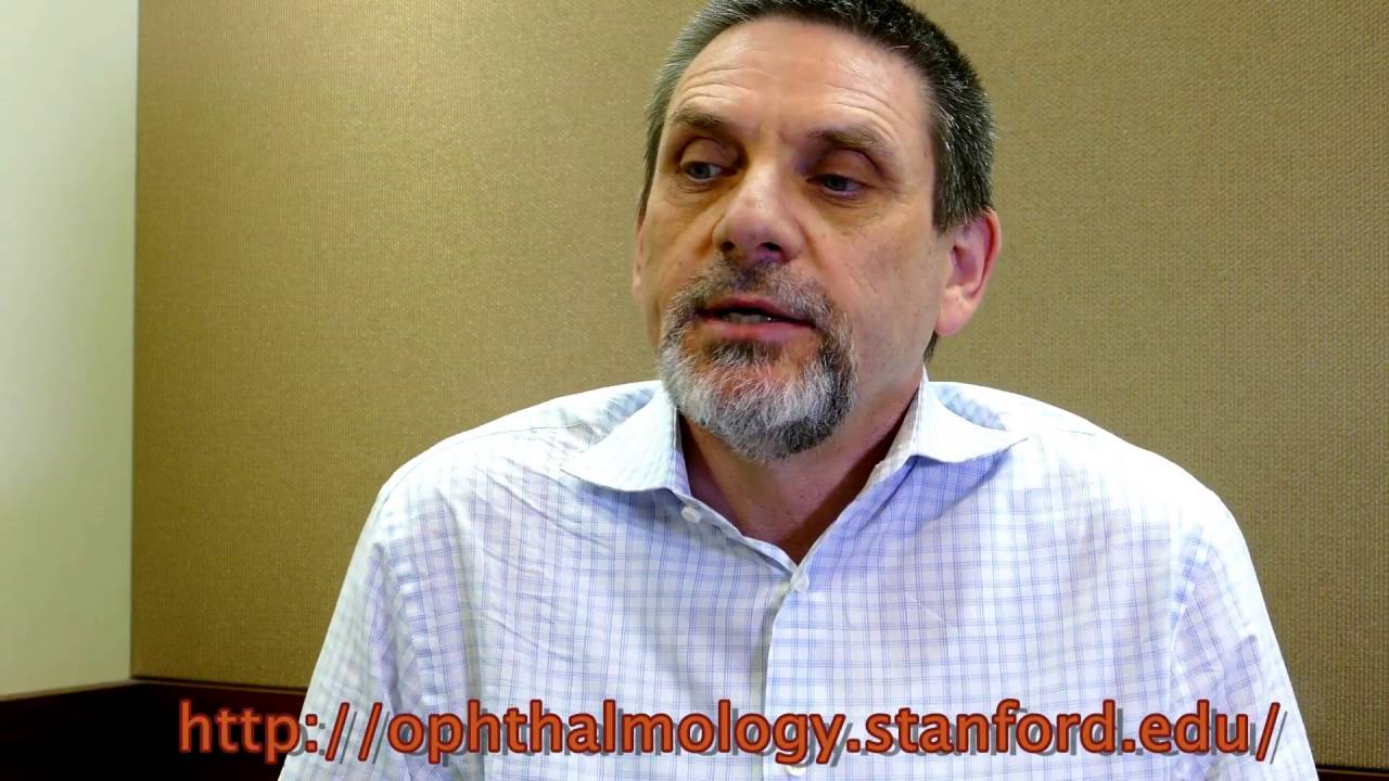 Daniel Palanker, PhD