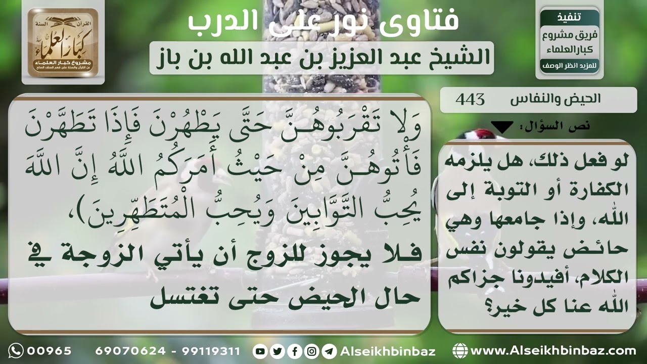 443 - حكم من جامع زوجته في حيض أو نفاس - نور على الدرب