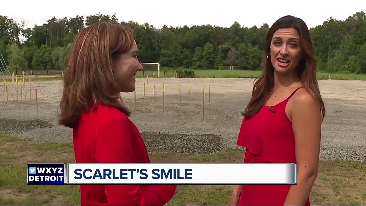 commerce township treasurer Scarlet's Smile playground being built