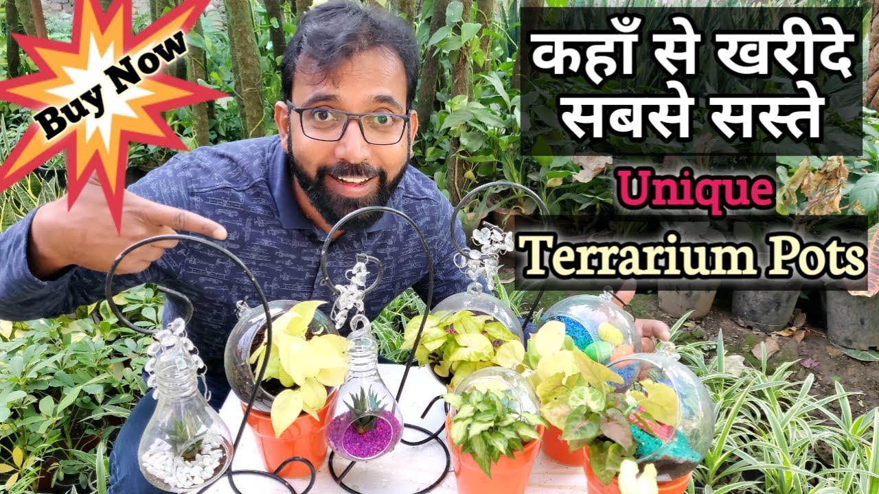 Best Terrarium Designer Pots Planters Unique Designing Flower Pots Youtube