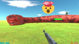 I Killed The Biggest Anaconda