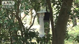 “デング蚊”、活動終了まで　代々木公園で毎週駆除(14/09/16)