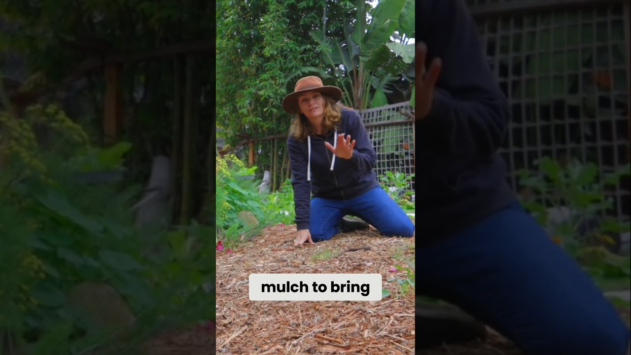 Building Soil Layers: Gardening Tips & Tricks