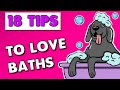 Dog Bath Time | How to get your Dog to Love Bath Time (18 Tips)