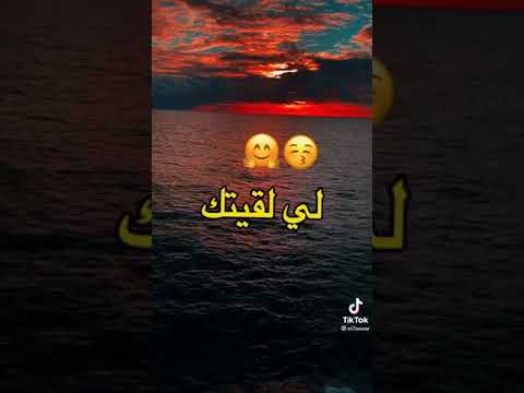 ديدين كلاش الوليدة