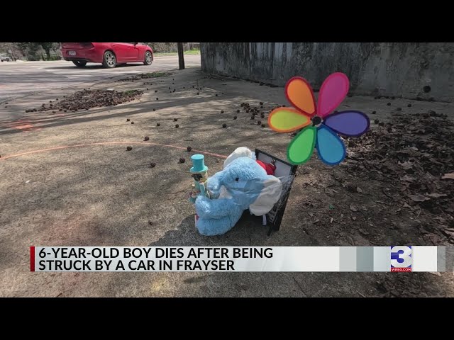 Driver arrested after 6-year-old fatally struck by car in Frayser