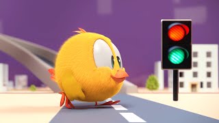 Where S Chicky? Funny Chicky 2023 Cross The Road Cartoon In English For Kids New Episodes