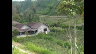 Mbah Surip - Ijo Royo-royo