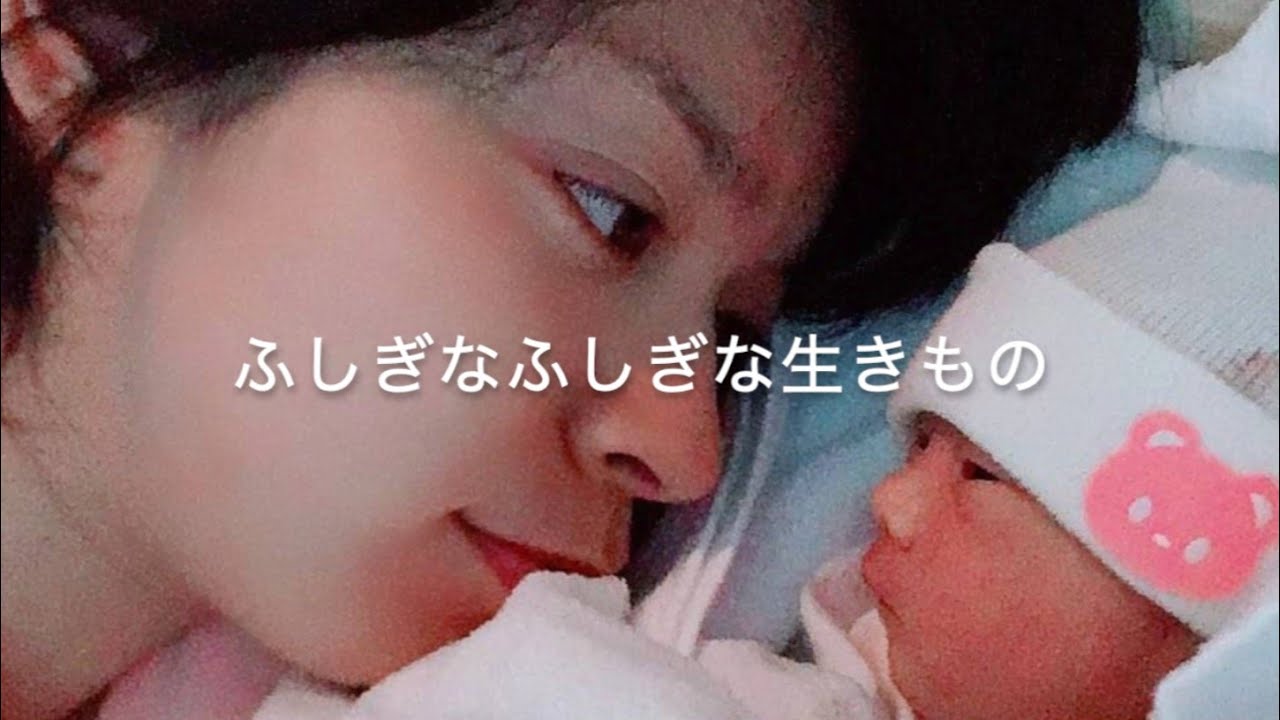 女性が歌う フル ふしぎなふしぎな生きもの トータス松本 岡崎体育 劇場版ポケットモンスター ココ Pokemon The Movie Coco Covered By 坂尻あい Youtube