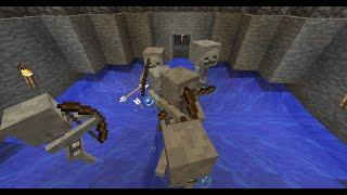 Skeleton Battle Arena In Minecraft - Mcinstructabuilds