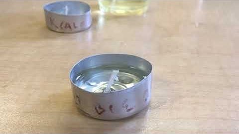 Lab Set Up Demonstration of Burning Fats - 7.3 Metabolic Reactions Lesson 10