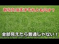 【IQテスト（色覚）】あなたは読めますか？全部見えたら普通の人間じゃない！観察力を鍛える頭の体操