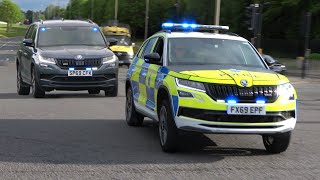 *NEARLY CATCHING AIR TIME!* Police Dogs Responding at HIGH SPEED!