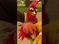 Quien es el GALLO BARTOLITO? #shorts @LaGranjaDeZenon