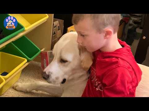 I Almost Gave This Disabled Dog Back…Then My Son Did Something I Never Expected