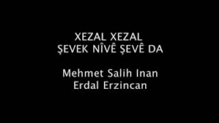 Xezal xezal