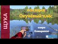 Русская рыбалка 4 - озеро Комариное - Щука на лягушку
