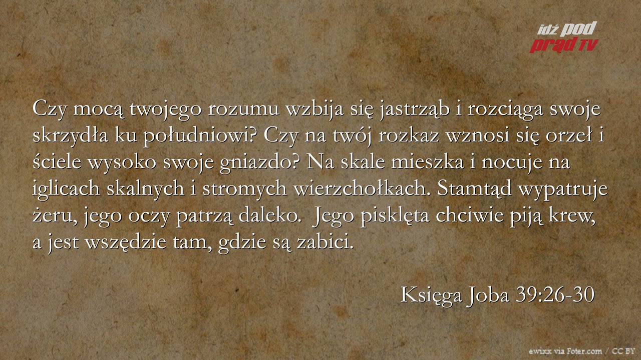 BIBLIA NA CO DZIEŃ: Księga Joba #39 episode artwork