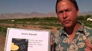 A Visit to a Commercial Farm in Las Vegas to see whats growing on!