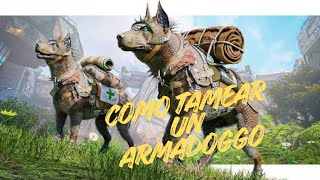 Como tamear un ARMADOGGO