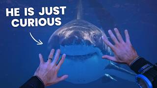 5 Fears That Stop 99% From Scuba Diving