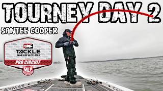 Santee Cooper MLF Pro Circuit for $100,000! | Tourney Day 2!