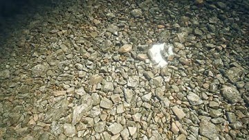 Photo Realistic Skyrim SE mod ENB complex parallax testing 4k