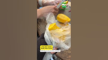 Tu Qui mango has big fruit, high yield, delicious when eaten green or ripe 😍 #o2nursery