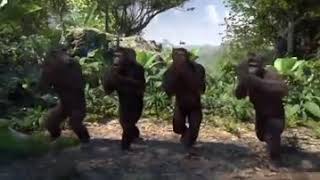 So basically I'm monky
