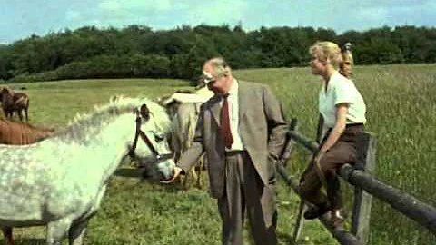 Hochzeit auf Immenhof Trailer Best Of