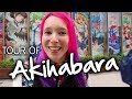 AKIHABARA TOUR: Anime Shops & Arcades