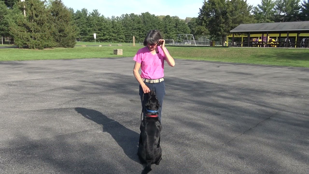 Straight Fronts: Using Two Leashes