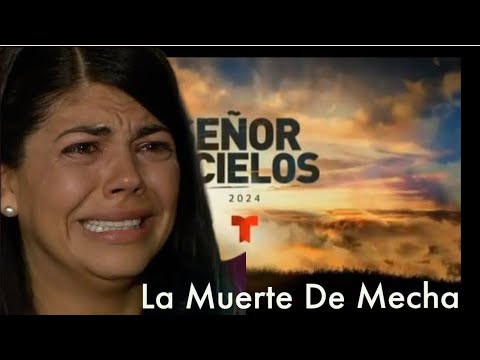 El Señor De Los Cielos 9 La Muerte De Mecha - YouTube