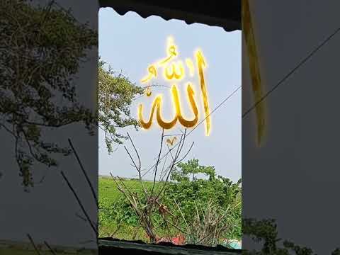 কমেন্ট করো Amin #facts #lifeisbutadream