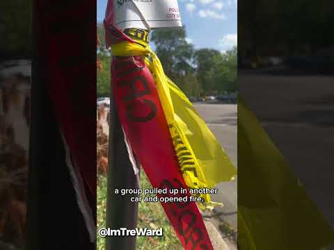 3 killed, 2 wounded in Hyde Park-area shootings hours apart