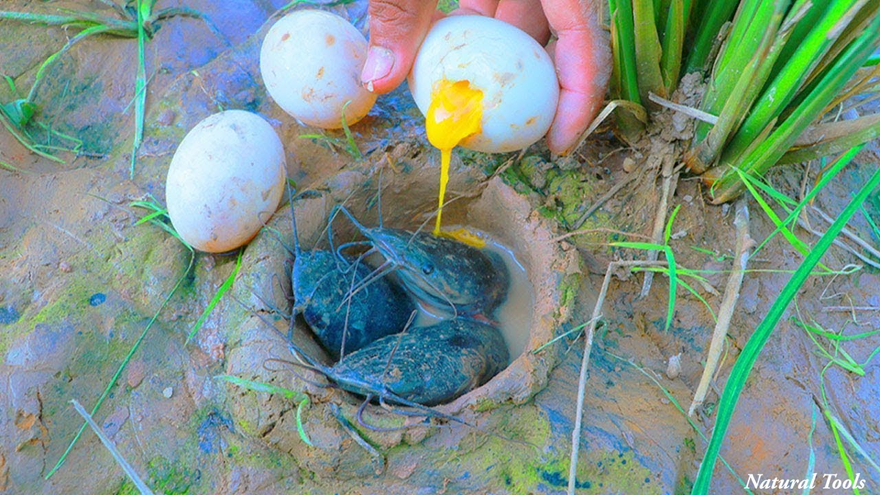 Amazing Fishing Experiment Eggs with Spay Fishing in hole Fishing