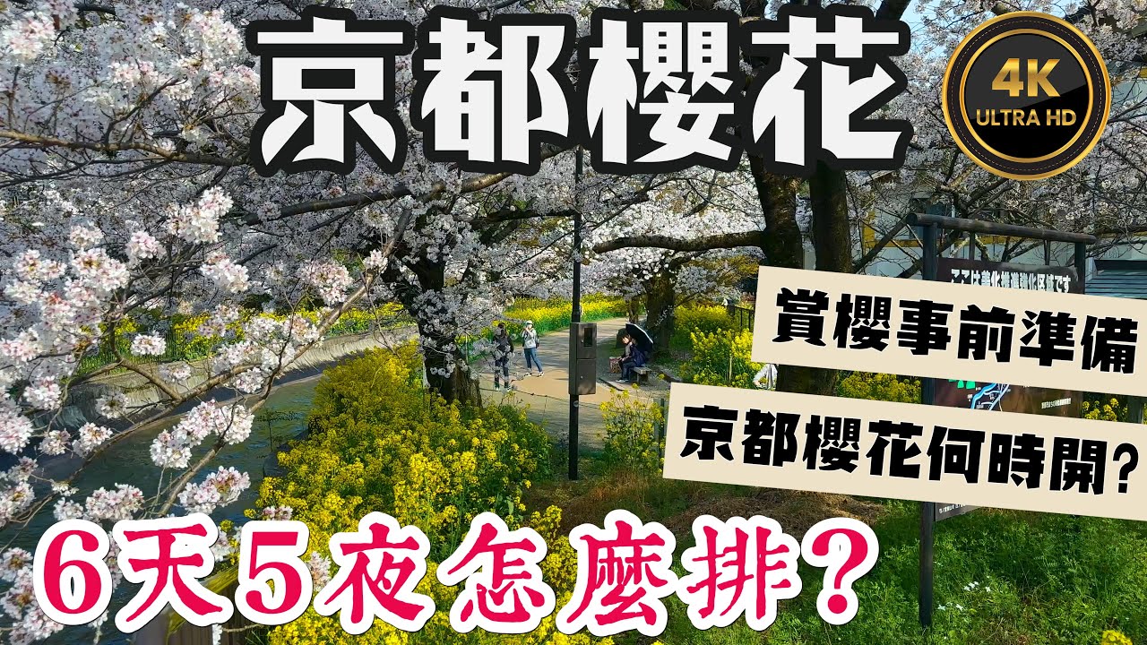 京都6天5夜🌸賞櫻行程全攻略🌸 2025年的京都何時會滿開？ 賞櫻的事前準備 I 20個京都賞櫻景點 最美的前5名就是 背割堤、龜岡七谷川、哲學之道、山科疏水、蹴上鐵道