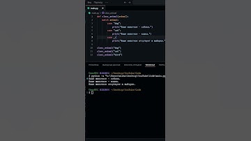 КАК РАБОТАЕТ MATCH В PYTHON | ITMixanic  #coding #python #programming