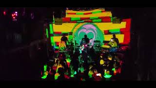 Animal Collective - In The Flowers / Applesauce - Live at Meow Wolf, Santa Fe - 05/16/22